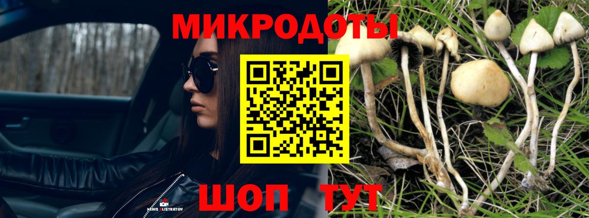 Нягань  Псилоцибиновые грибы GOLDEN TEACHER  Псилоцибиновые грибы Psilocybine cubensis  Вход с VPN 